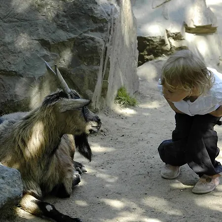 T2 Mezzanine Aux Sables D'olonne - Balcon, Proche Et Commerces - Fr-1-92-745 Appartement *