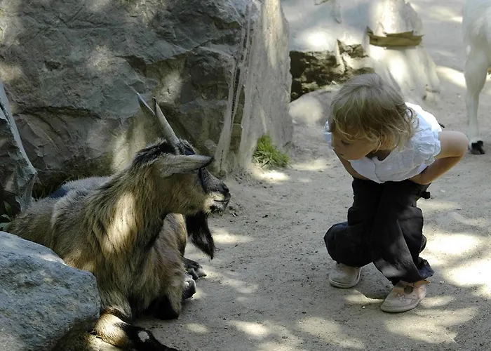 T2 Mezzanine Aux Sables D'olonne - Balcon, Proche Et Commerces - Fr-1-92-745 Appartement *